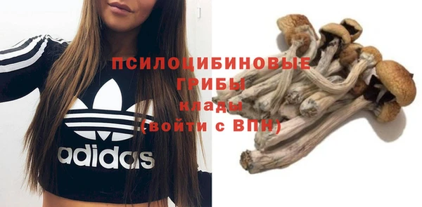 спайс Тайга