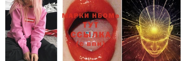 индика Заволжье