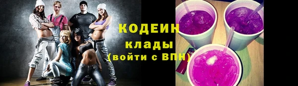 индика Заволжье