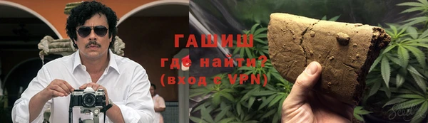 индика Заволжье