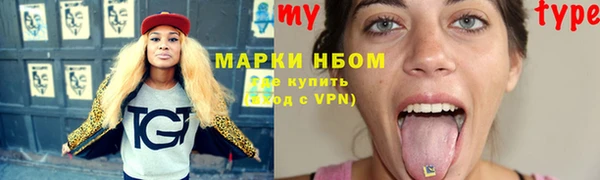 индика Заволжье