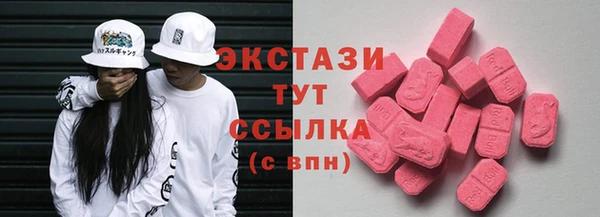 индика Заволжье