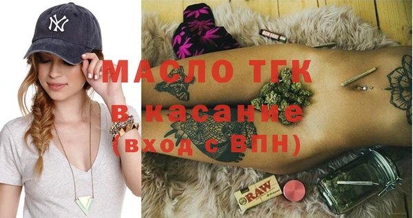 индика Заволжье