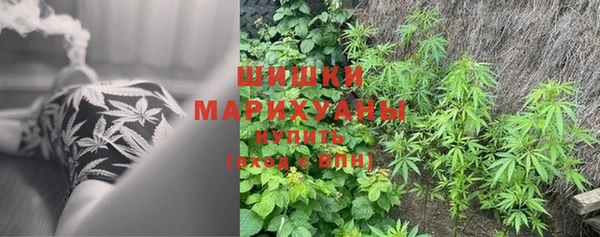 индика Заволжье