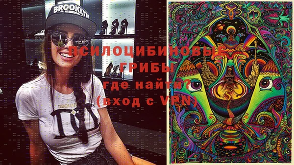 spice Заводоуковск