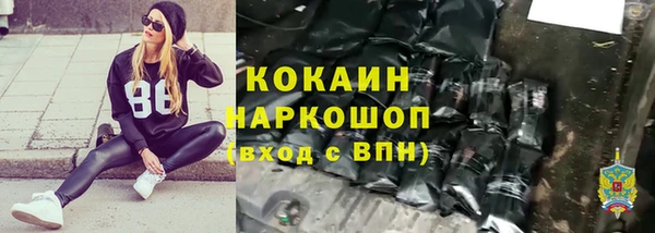 индика Заволжье