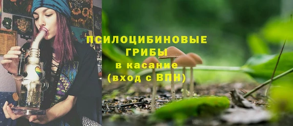 индика Заволжье